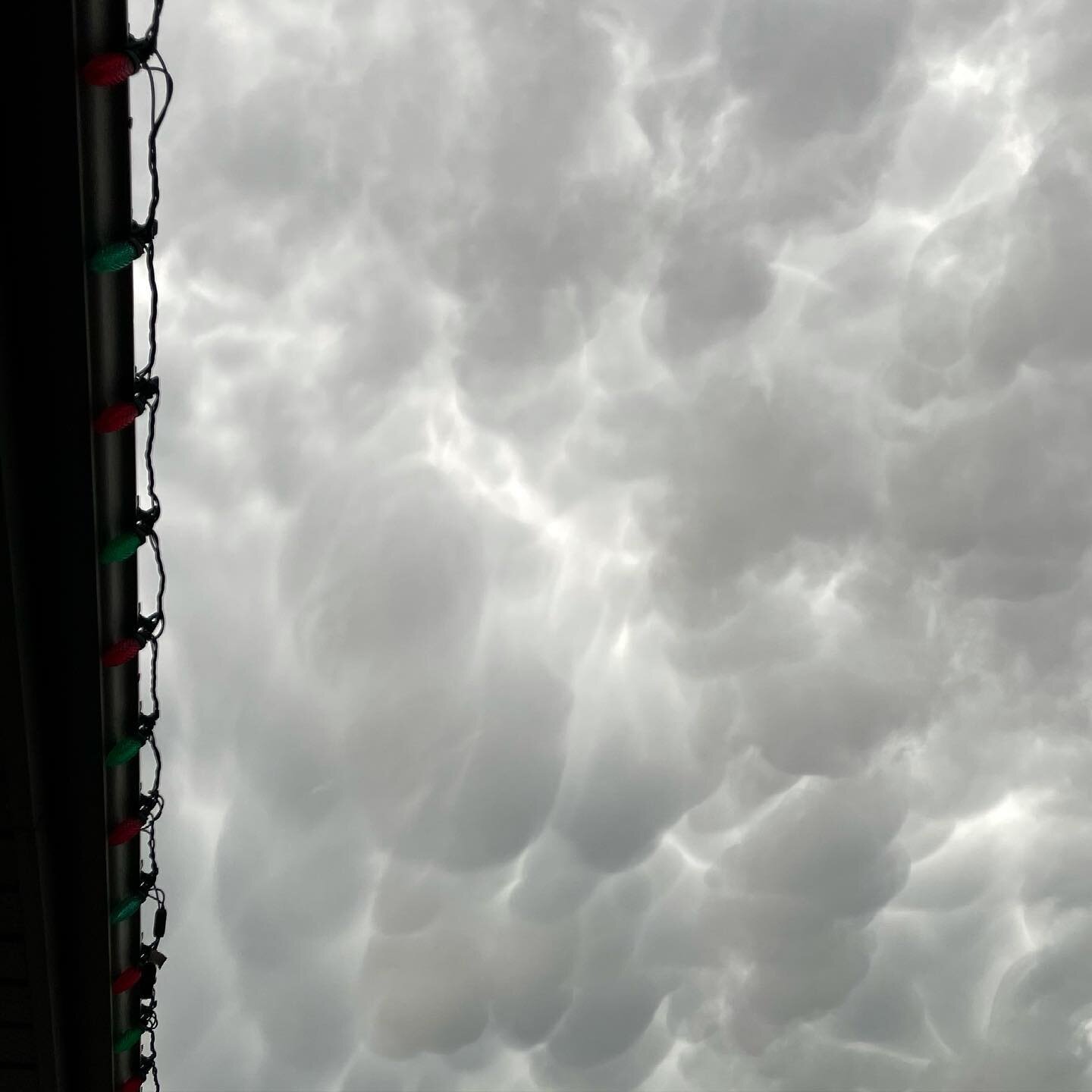 My favourite part of yesterday?

Standing under the eaves of our house with my family, watching a thunderstorm pass overhead. Nature is pretty cool. 

What was the best part of your day?