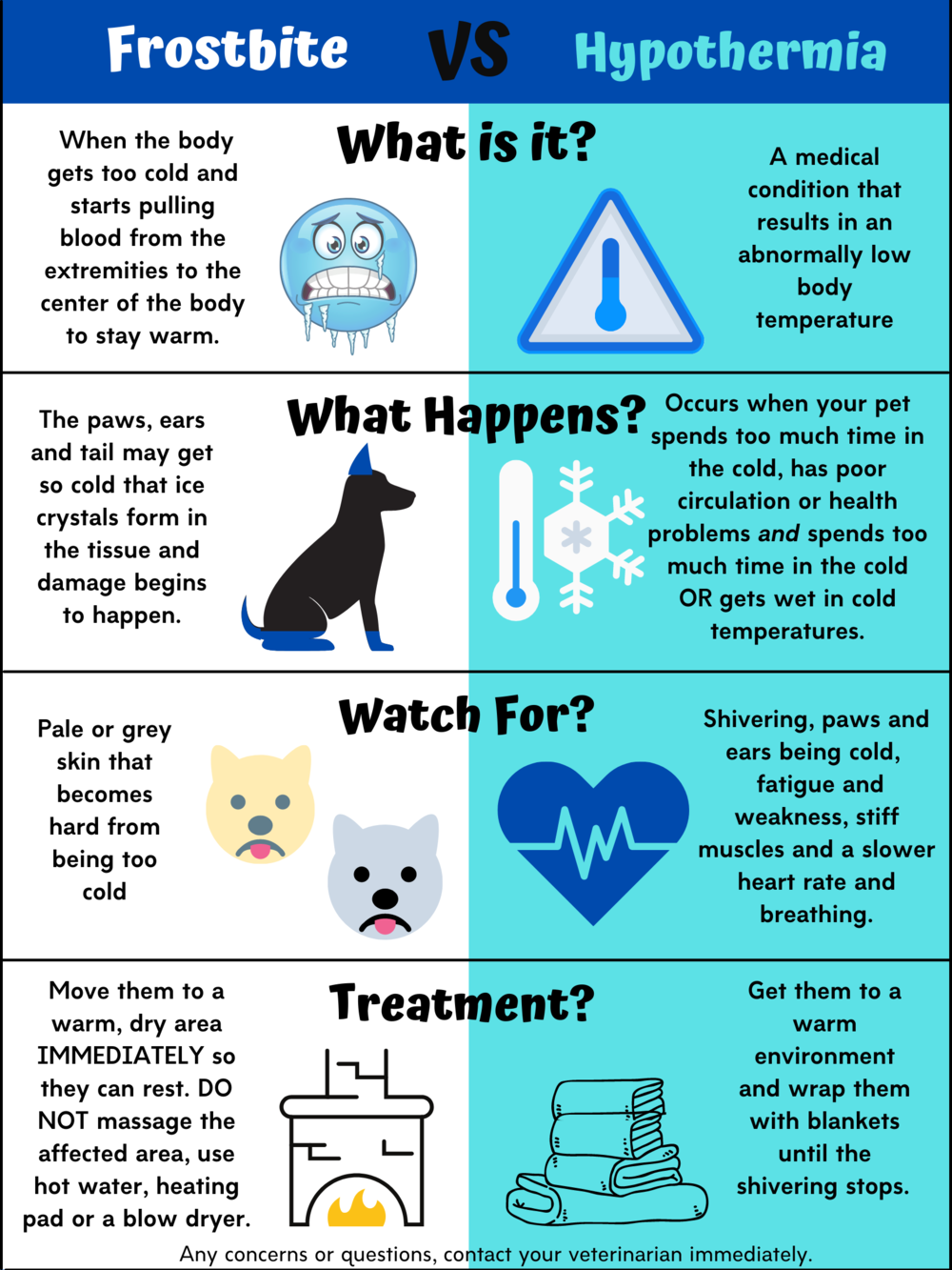 How Can I Tell If My Dog Has Frostbite