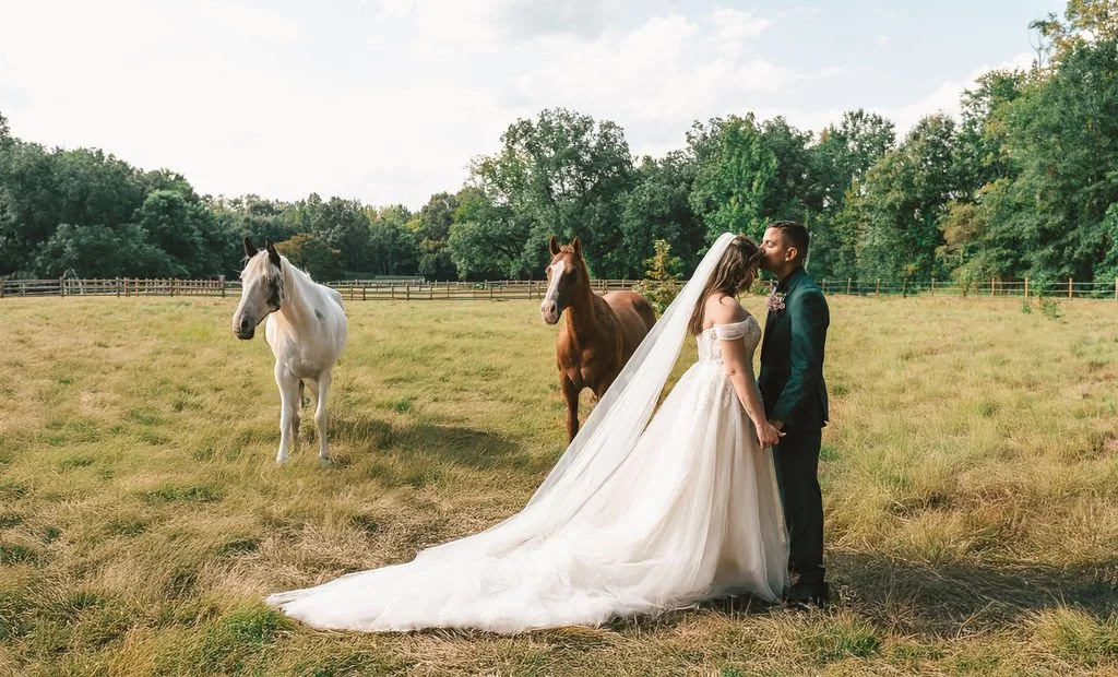 Groom-Kisses-Brides-Forehead-Horses-Field-LoveW-.jpg