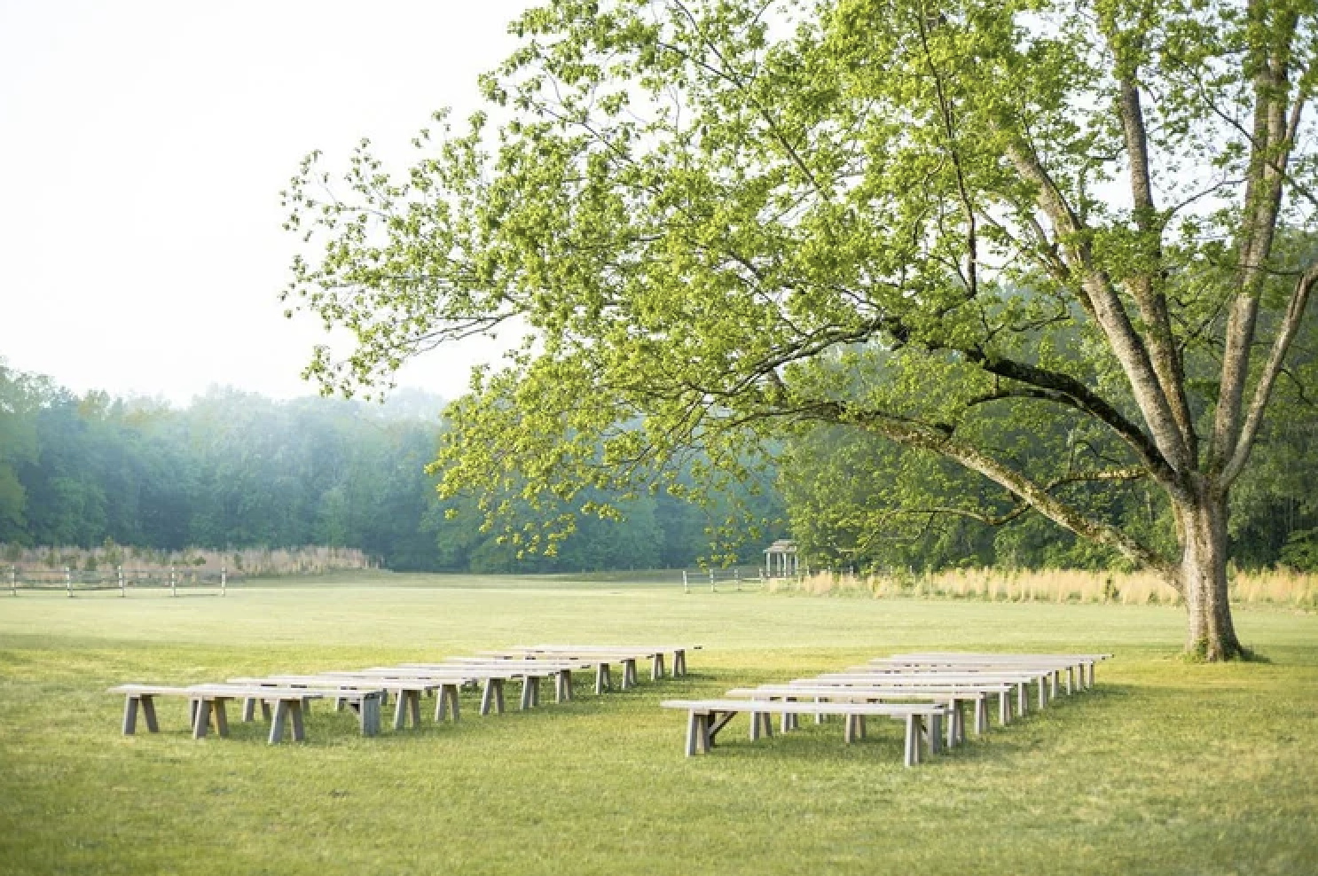 Outdoor-Serene-Wedding-Tree-And-Field-.jpg.png