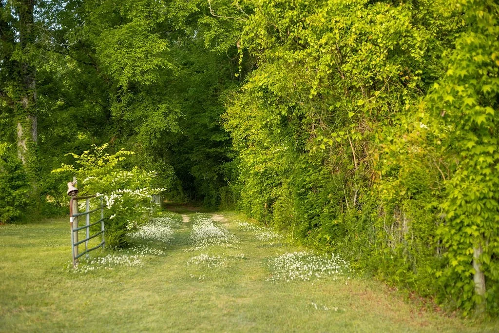 Secret-Spaces-Clover-Road-Catlett-Farm-.jpg.webp