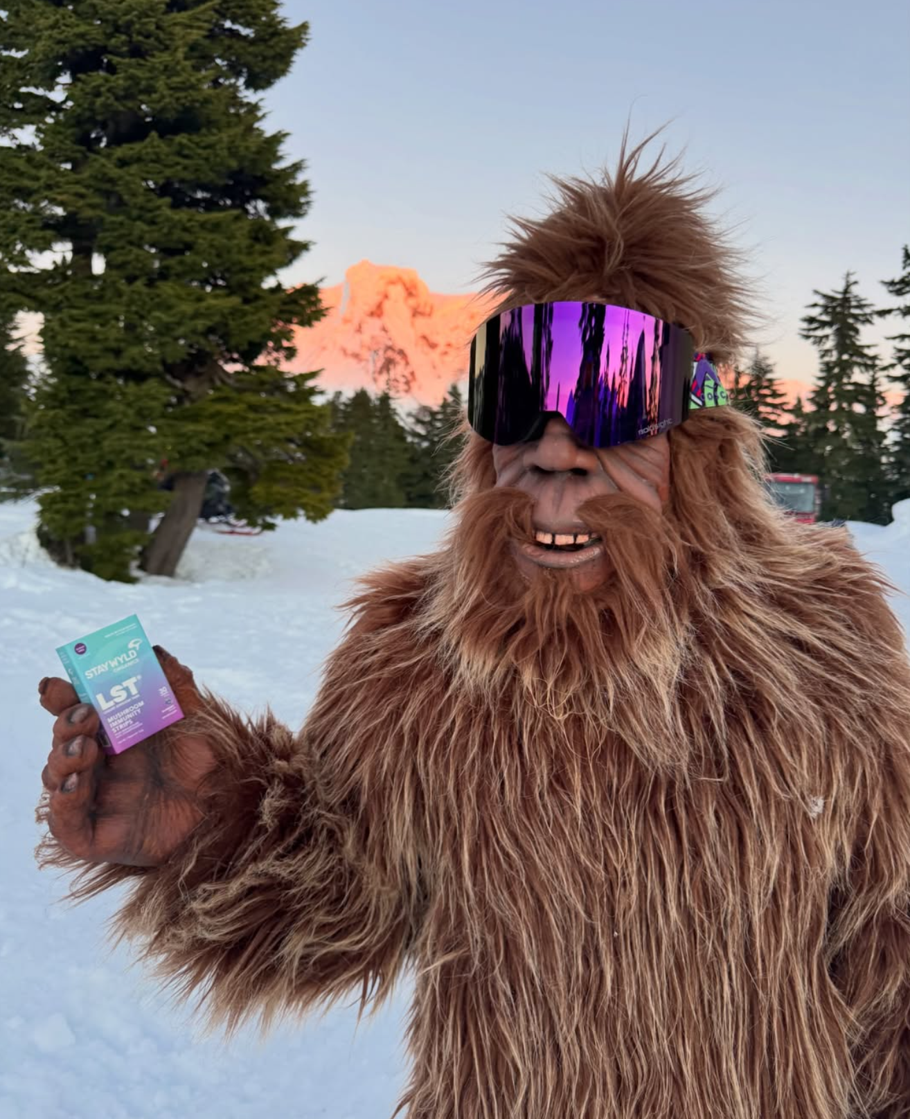 Screenshot 2026-04-28 at 3.34.10 AM.png