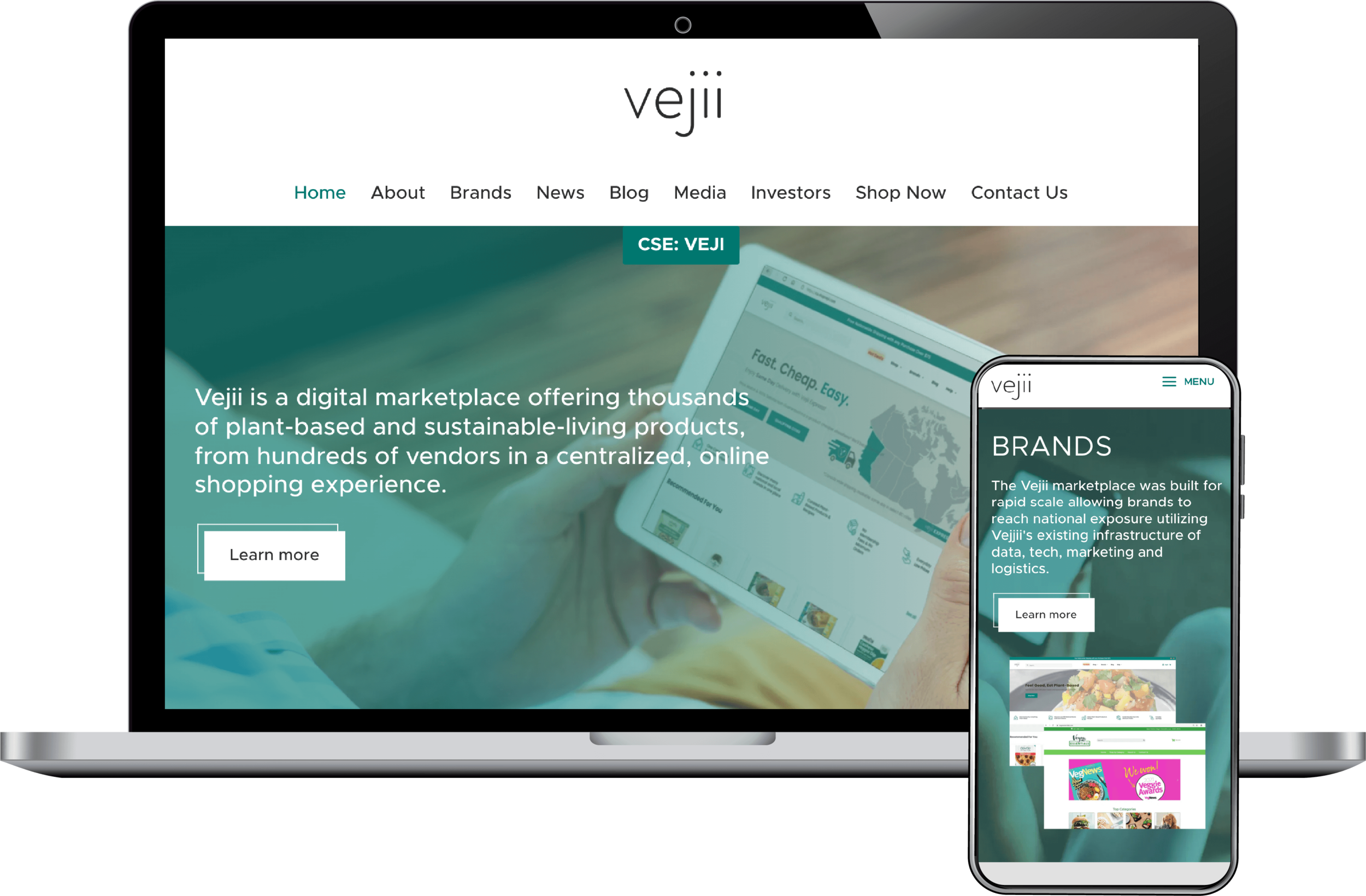 Vejii Holdings corporate website on desktop and mobile