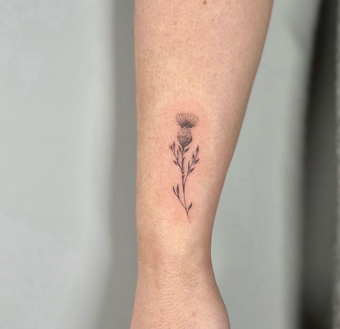 We 💜 a meaningful floral tattoo! 

@ss.inkworld did this Scottish thistle for a client the other day and we are obsessed 🔥

#durhamregion #durhamregiontattoo #durhamregionbusiness #oshawa #oshawabusiness #oshawatattoos #torontotattoos #torontotatto