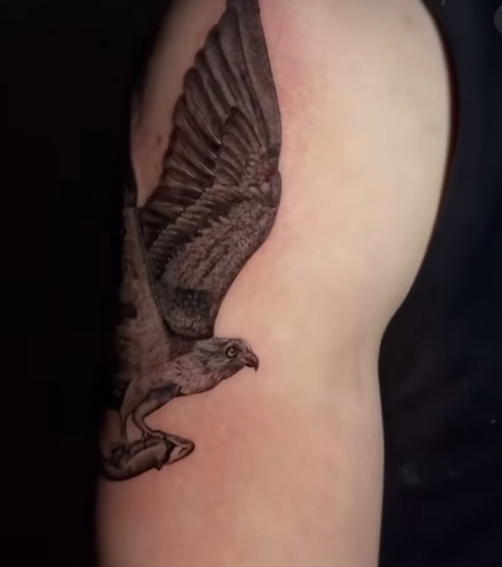 @nosoul hit this #realism hawk out of the park! 

Nothing better than seeing our artists crush it at new styles🔥🔥

Looking to book a piece with Justin? Fill out the form on our website to get a consultation on the books!

#durhamregion #durhamregio