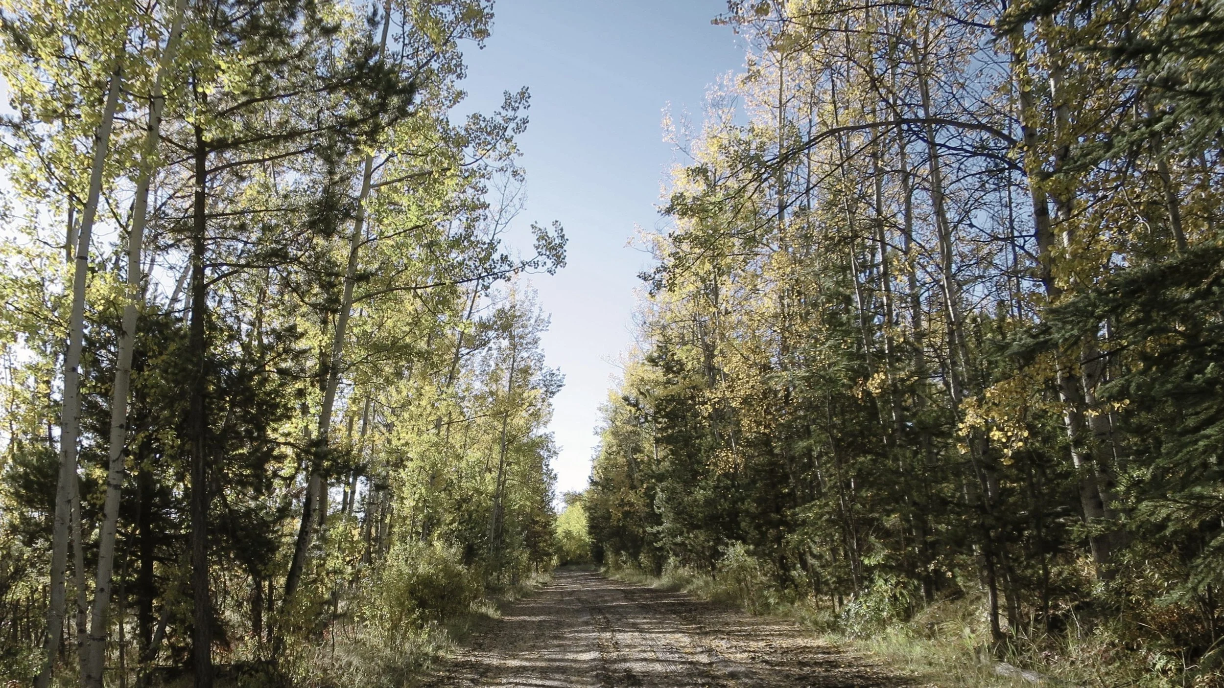 IMG_2436_aspen road_16_9_BW_W_50.JPG