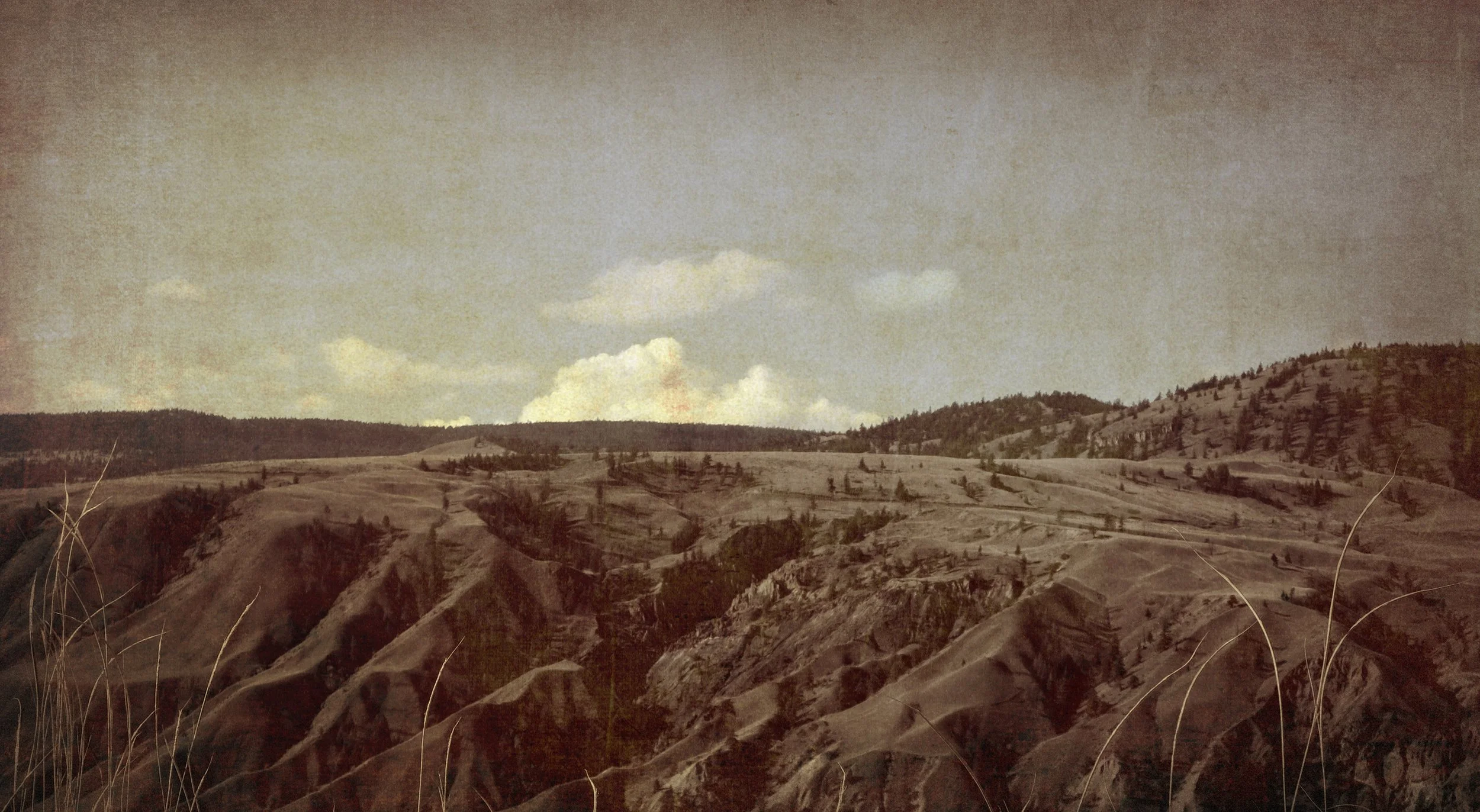 landscape-wide-muted.jpg