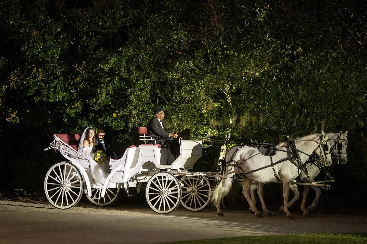 Bethany + Brandon&rsquo;s forever began under the oaks 🌿From a horse-drawn carriage to candlelit moments &mdash; the perfect New Orleans love story. 

Photography | @secondlinephotography 
Florist | @crystalvaseflowers
