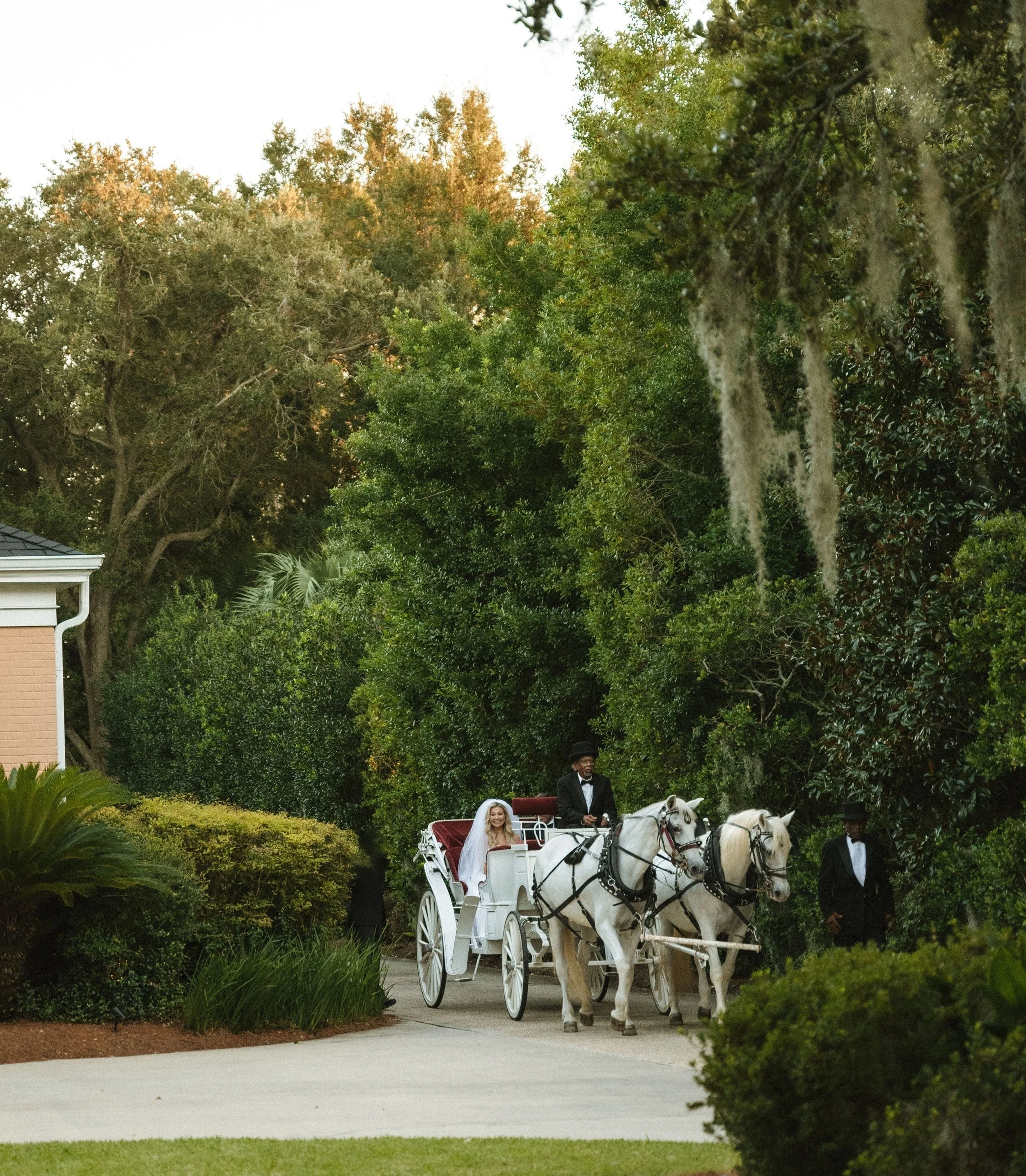 carriage edit .3.jpg