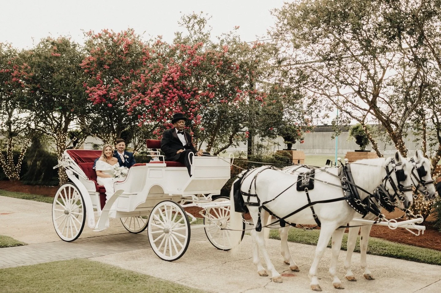 Some brides walk&hellip;our brides ride off in a horse-drawn carriage 🤍✨

Photography | @marquez.fotos