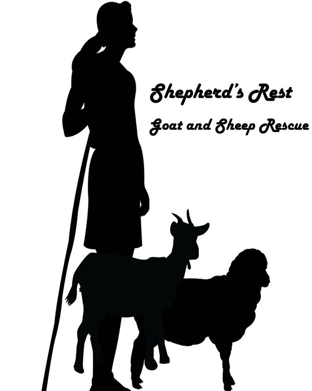 Our website is now LIVE! Check it out at Shepherdsrestrescue.com 🐐🐑🥰
.
.
.
.
.
.
.
.
#shepherdsrest #pickrellnebraska #lincolnnebraska #lnk #healing #animalassistedtherapy #goats #sheep #sanctuary #rescuegoatsofinstagram