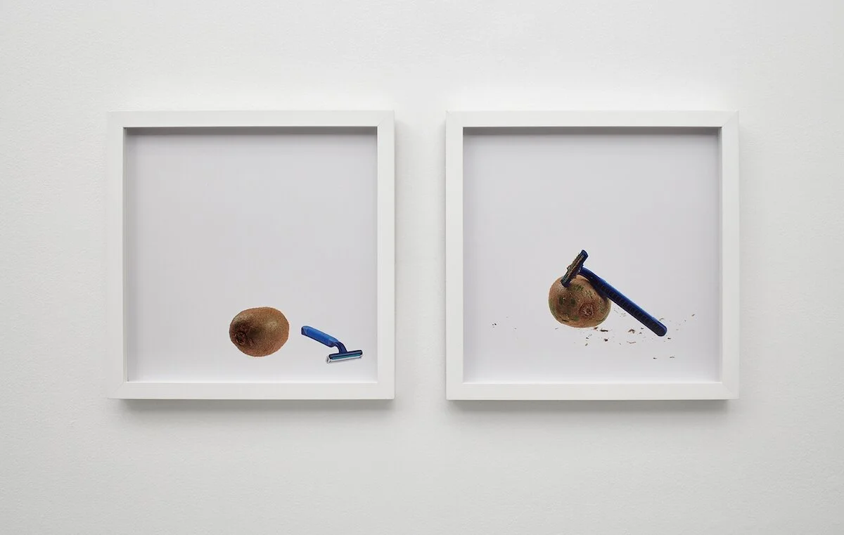 kiwi and razor, razor shaves kiwi, Bettina Hubby, 2015. Archival pigment print, 13 x 13 inches (framed, each). Edition of 3. BH2452