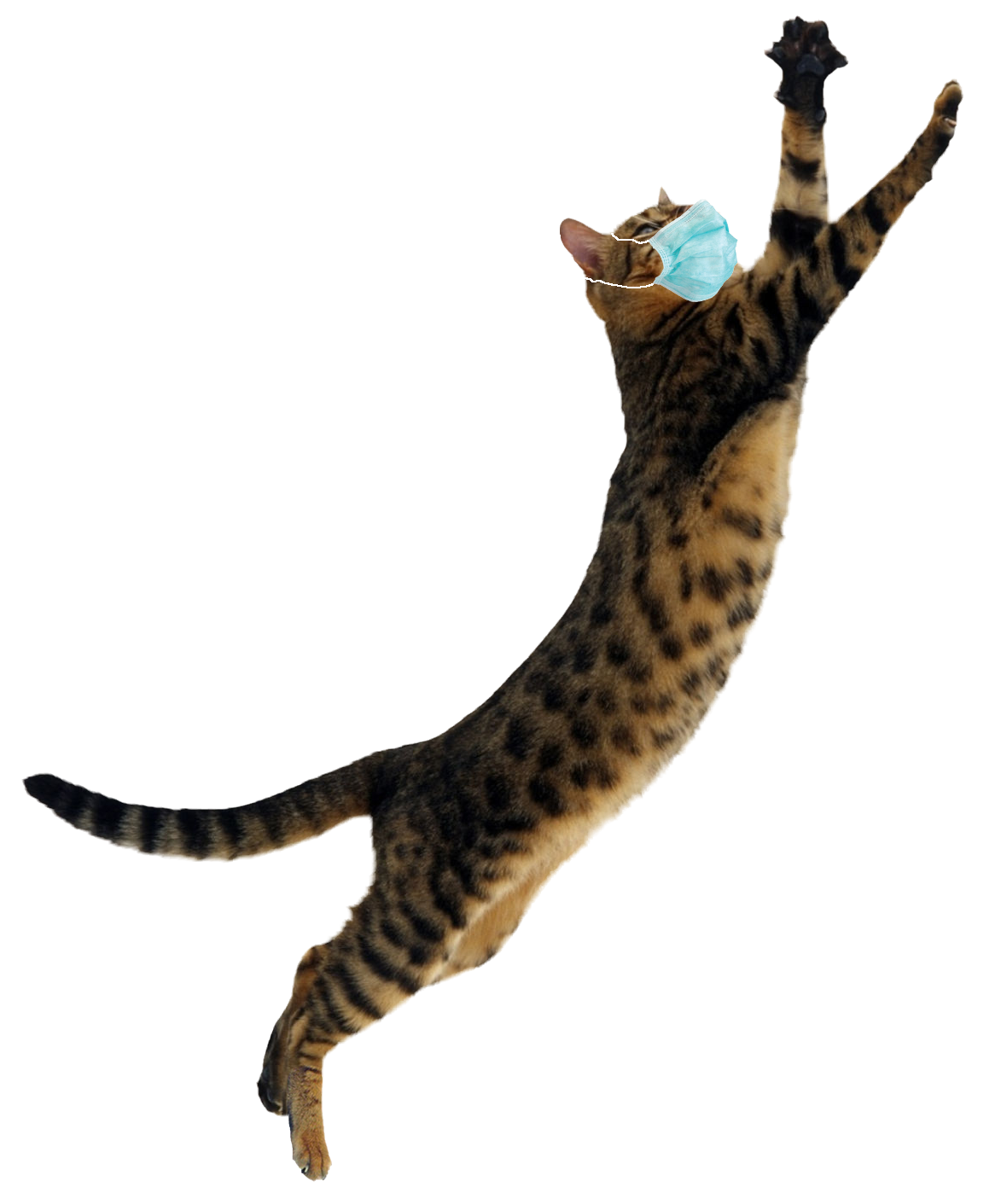 bengal-cat-leaping-with-mask.png