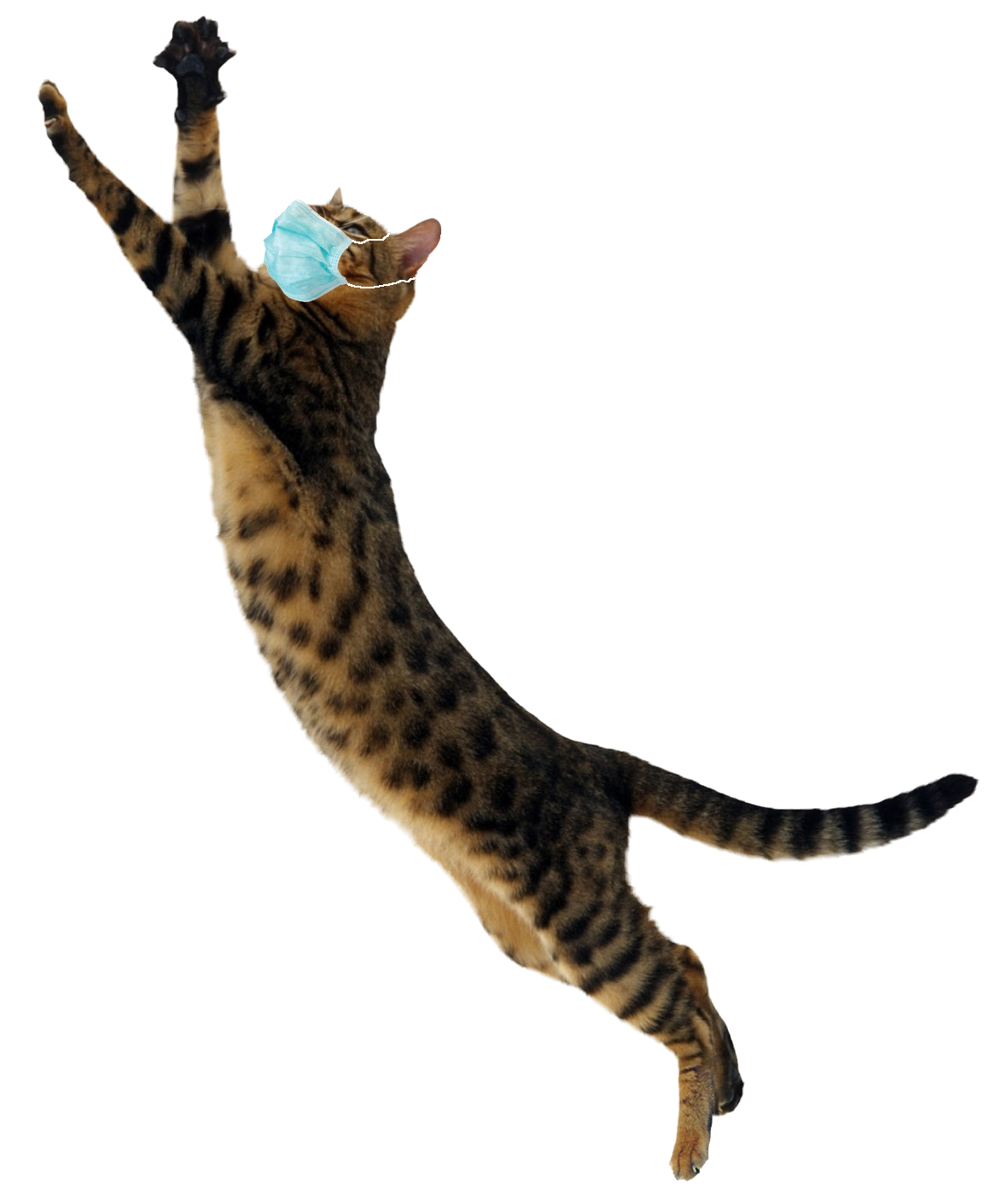 bengal-cat-leaping-with-mask2.png