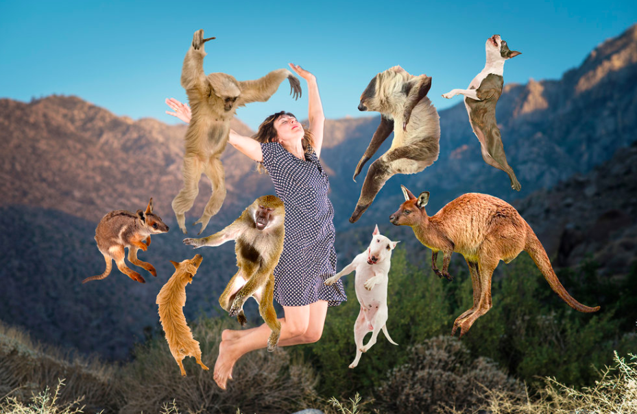 LA Women, 2019