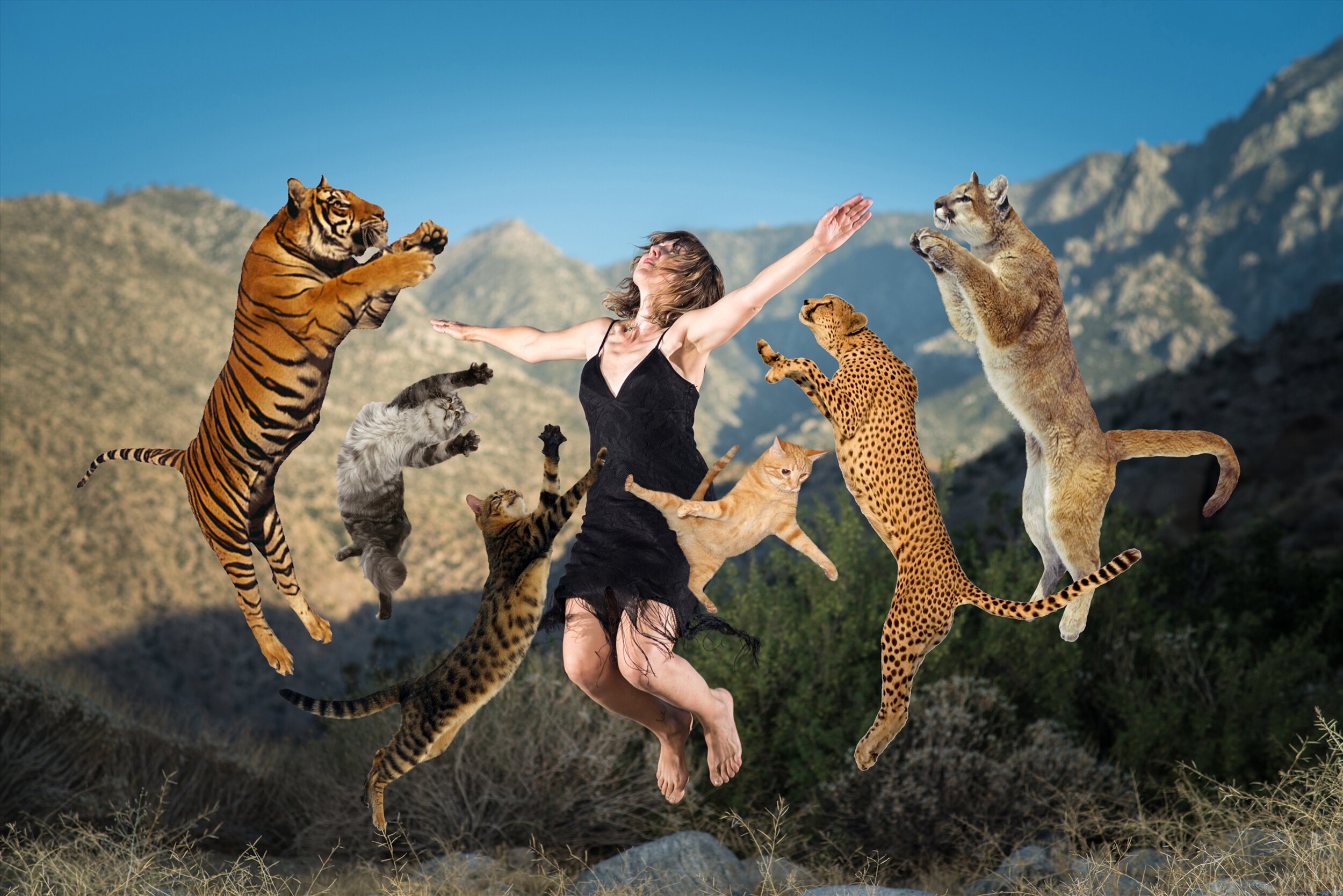 With Animals, 2017–2019