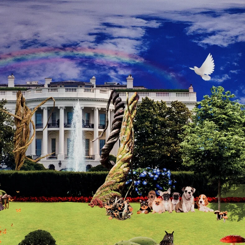 White House Visualization, 2019–2022