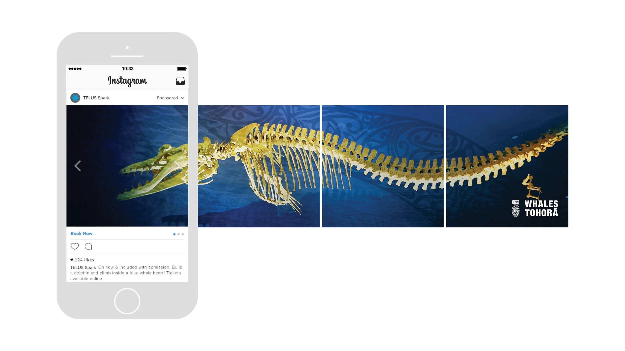 EMBR19-TSS_WhalesInstaCarousel_FEB4TL3.jpg