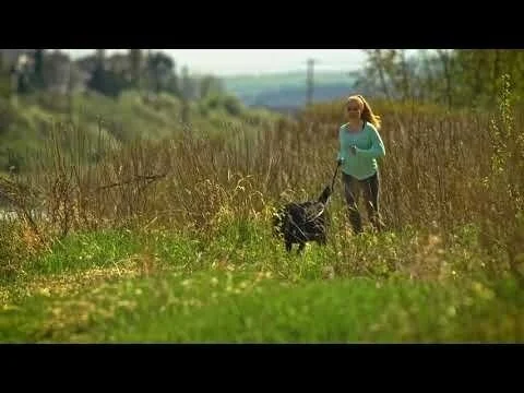 Wolf Willow 30 Sec Master HD