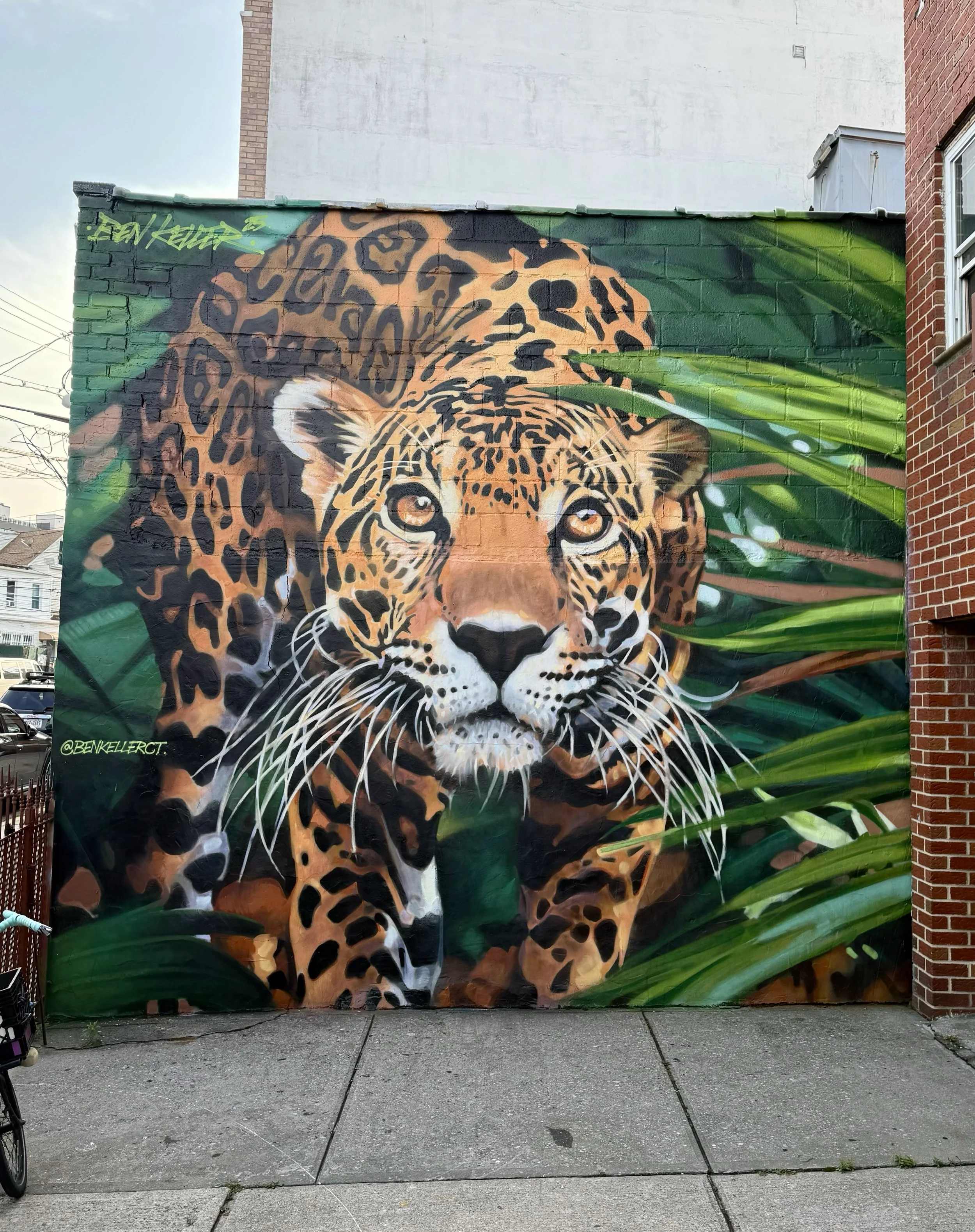  WITHIN LEAP  LOCATION: 11-59 WELLING COURT ASTORIA, NEW YORK 