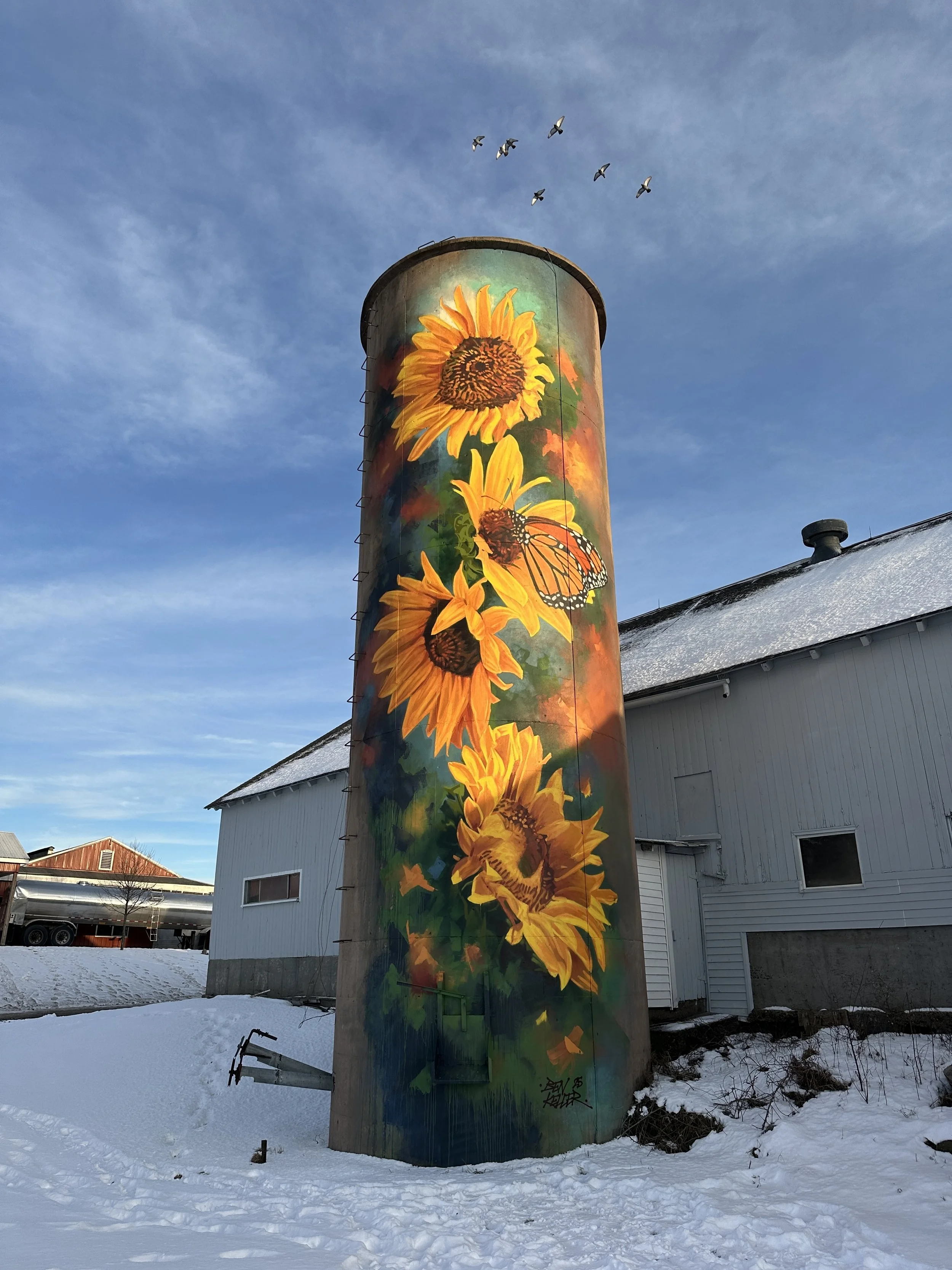  RURAL RADIANCE  LOCATION: Mapleleaf Farm 768 Gilead Street Hebron CT 