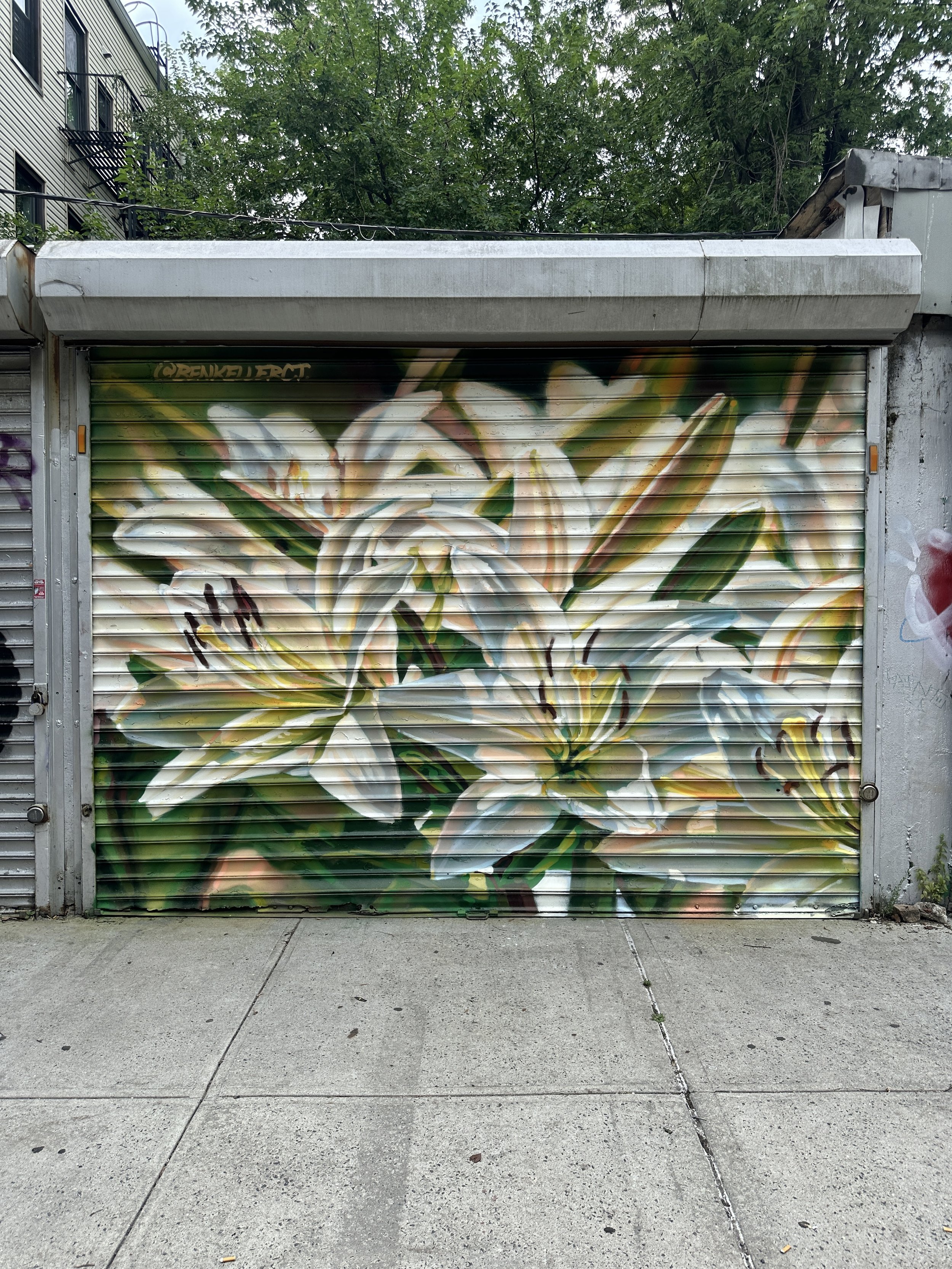  WHITE LIGHT  LOCATION: 352 ELLERY ST BROOKLYN NY 