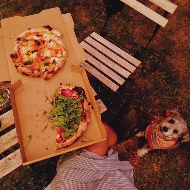 good boys get pizza crust .
.
.
#santafe #newmexico #foodtruck #fresh #local #organic #herbs #vegan #glutenfree #sourdough #pizza #supportlocal #smallbusiness #homemade #vegansantafe #tenderfirekitchen #farmtotable #pizzaparty #supportlocal #supportl