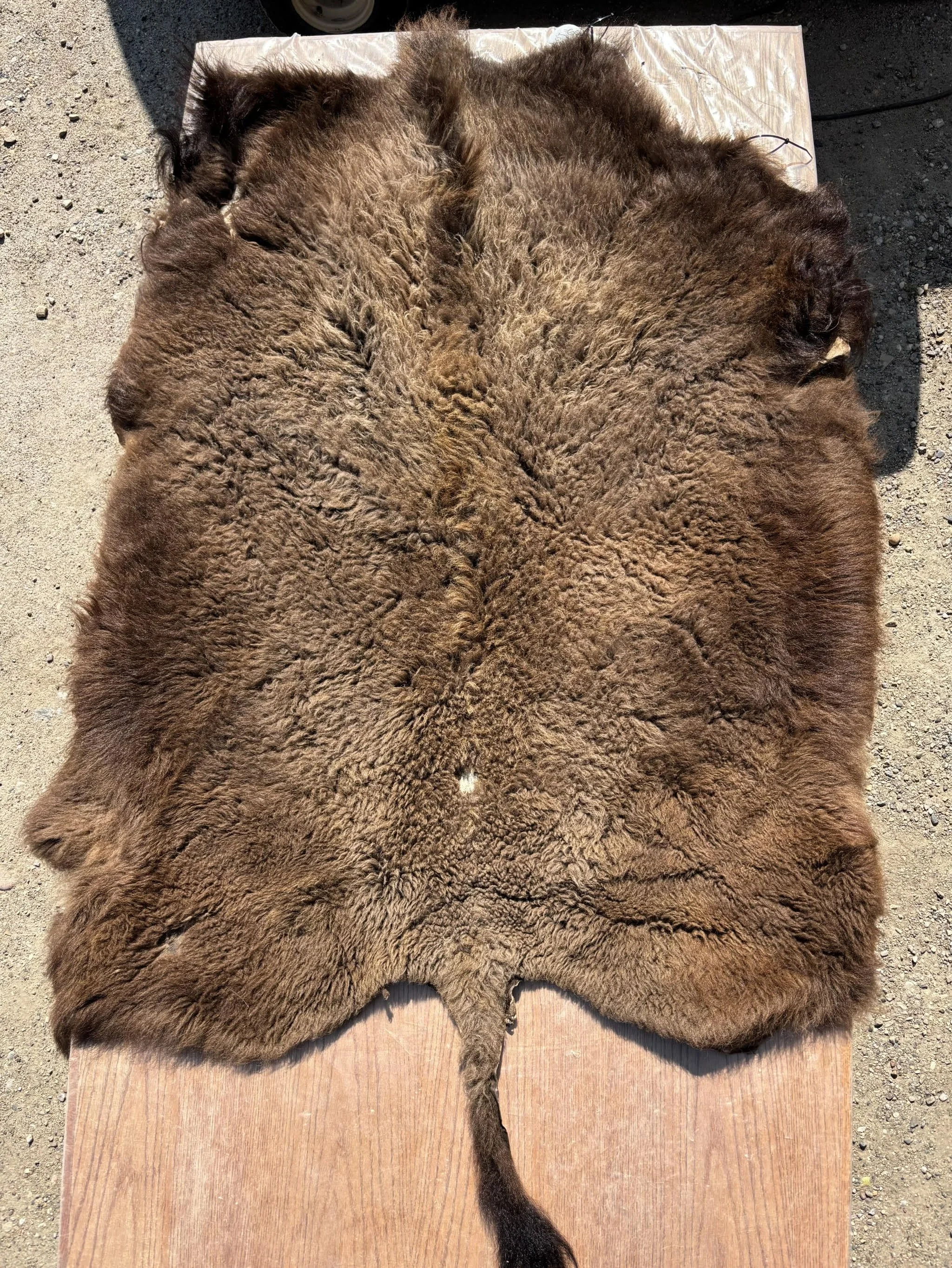 Buffalo Robe # 001