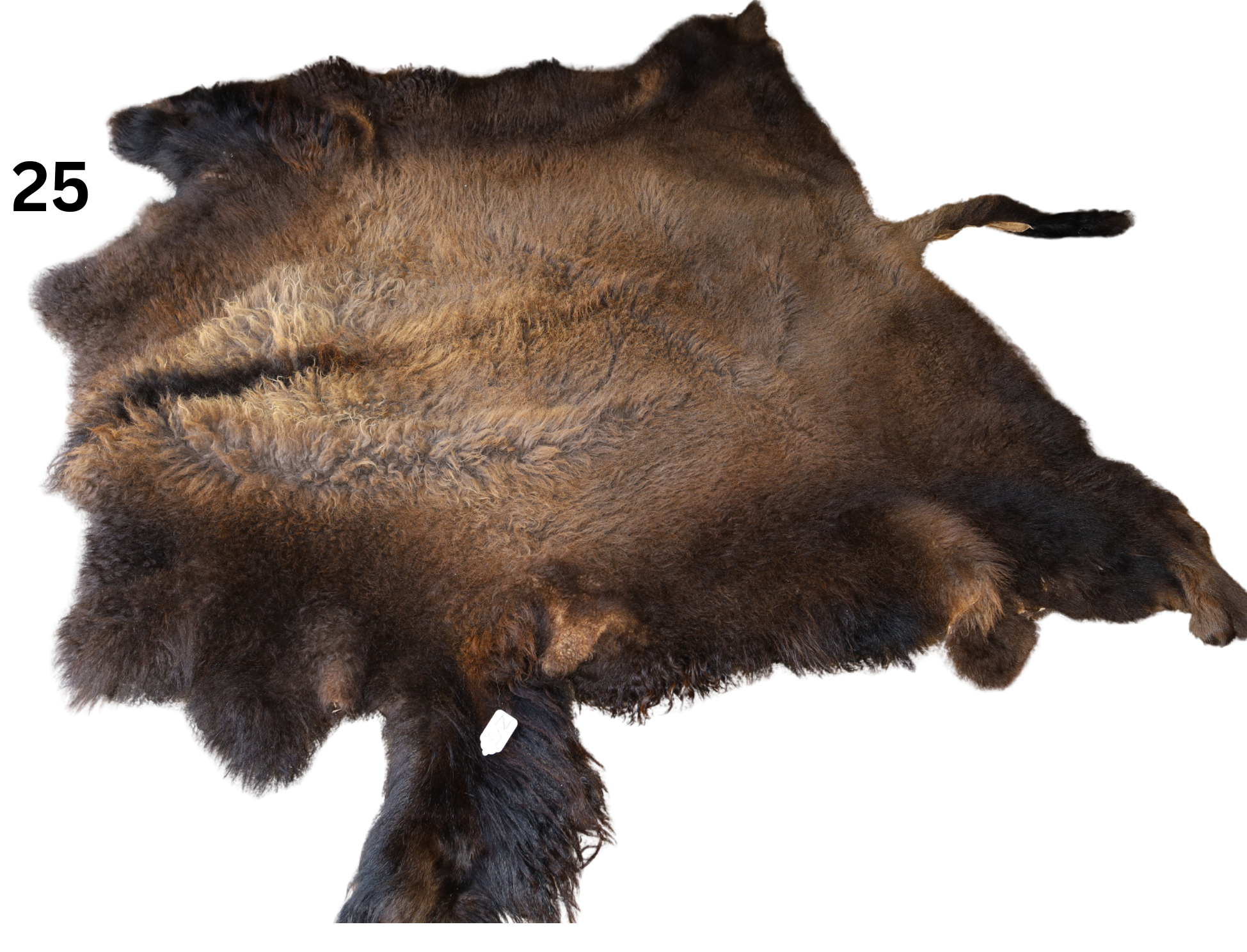 Buffalo Robes # 25