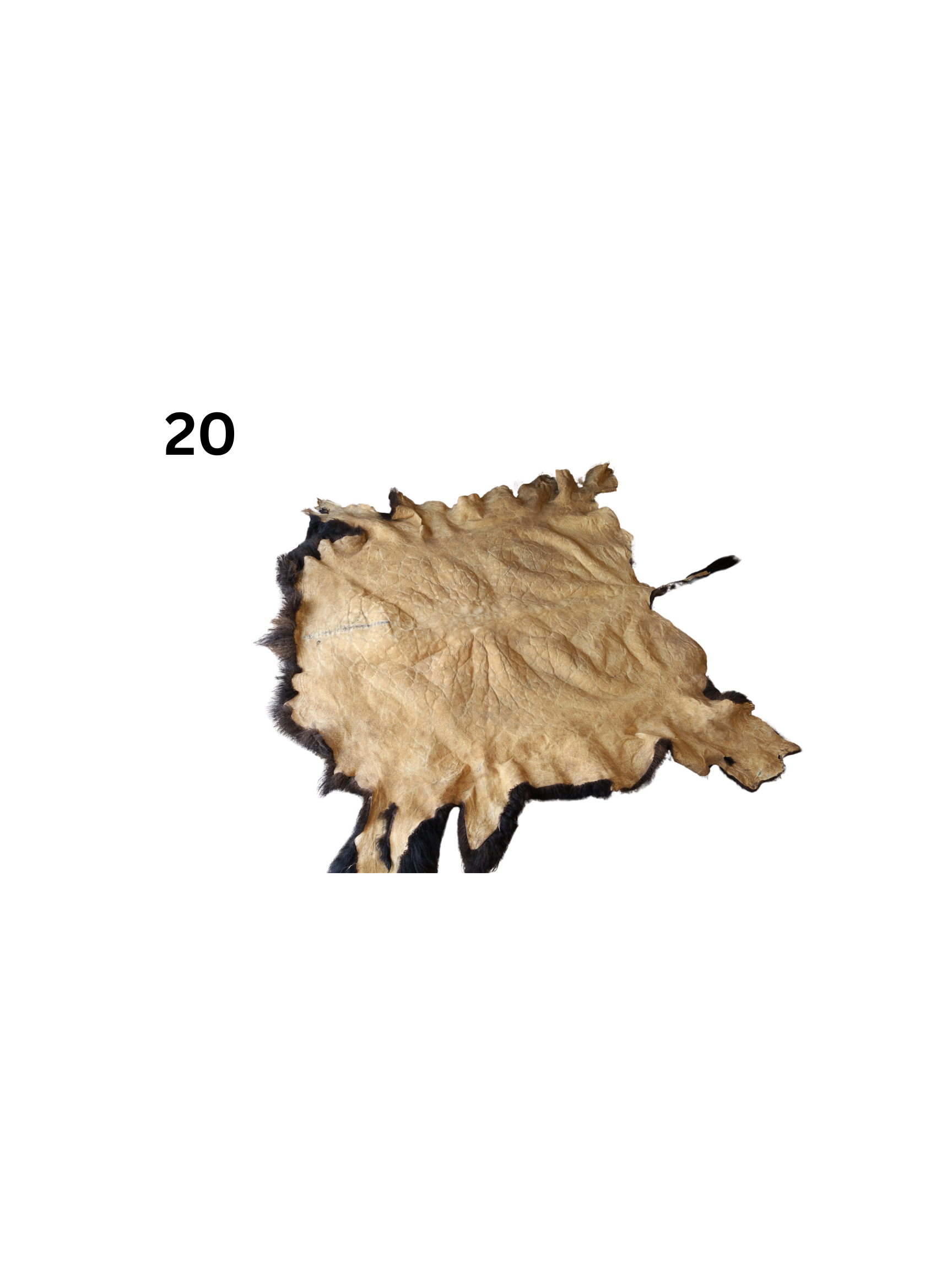1.png