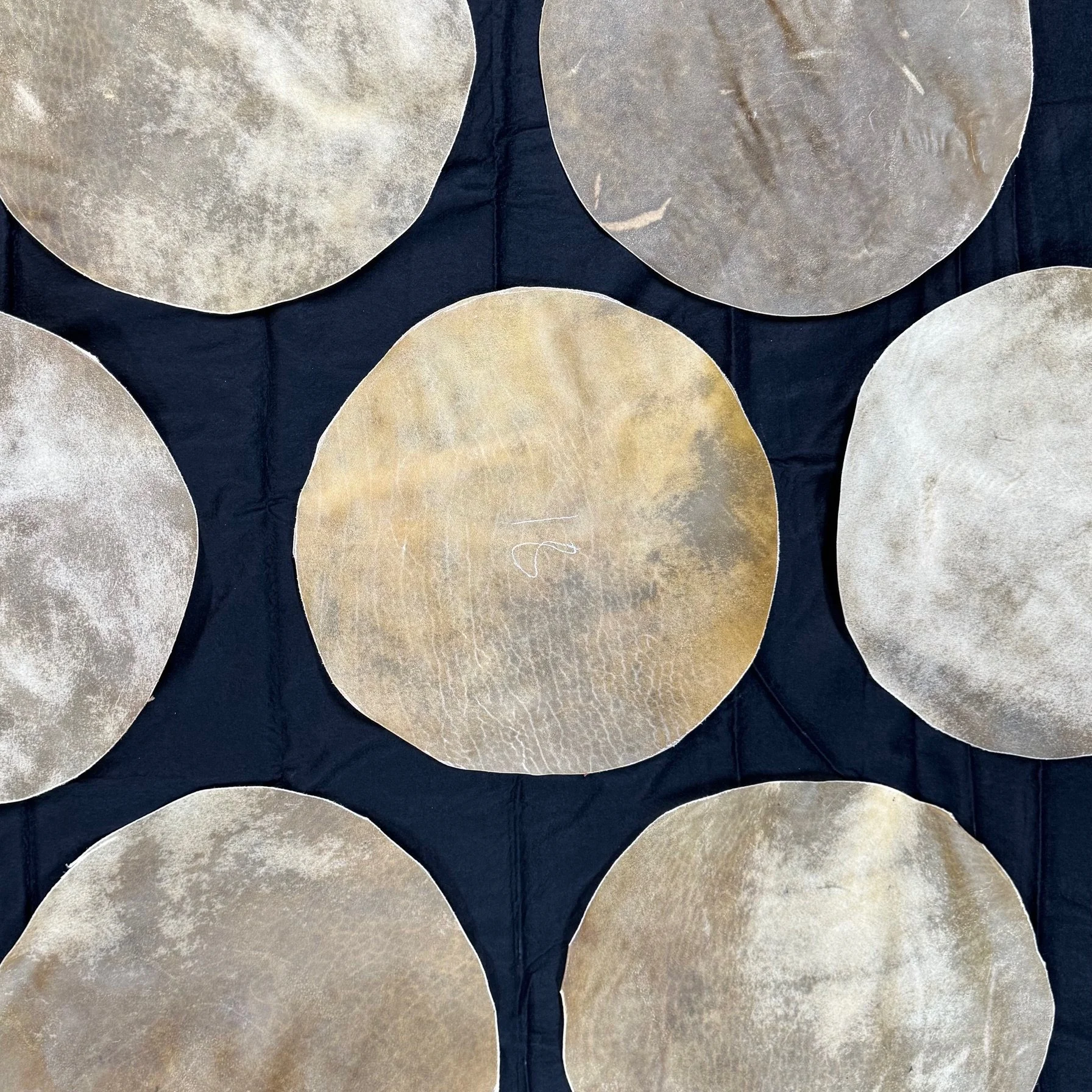Bison Rawhide Rounds
