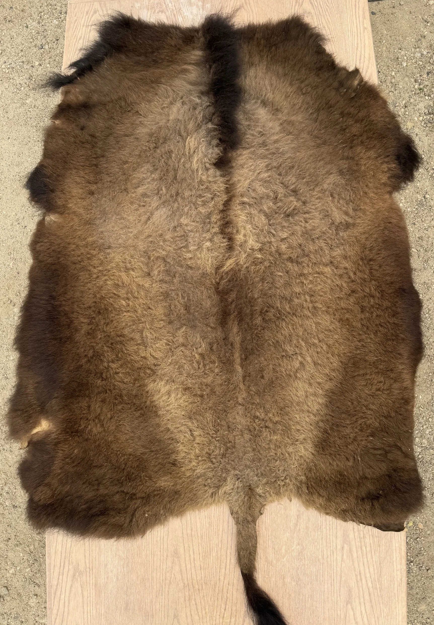 Buffalo Robe  #003