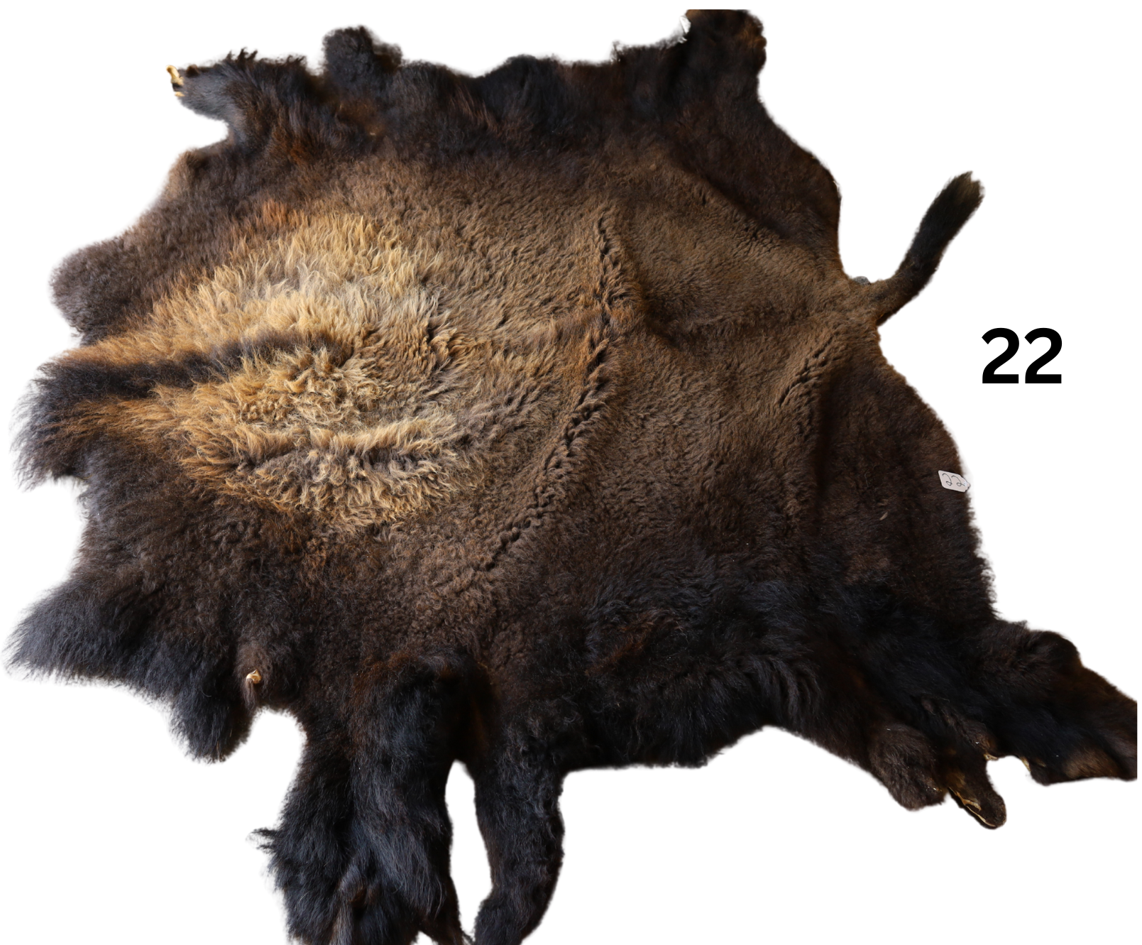 22 buffalo frente.png