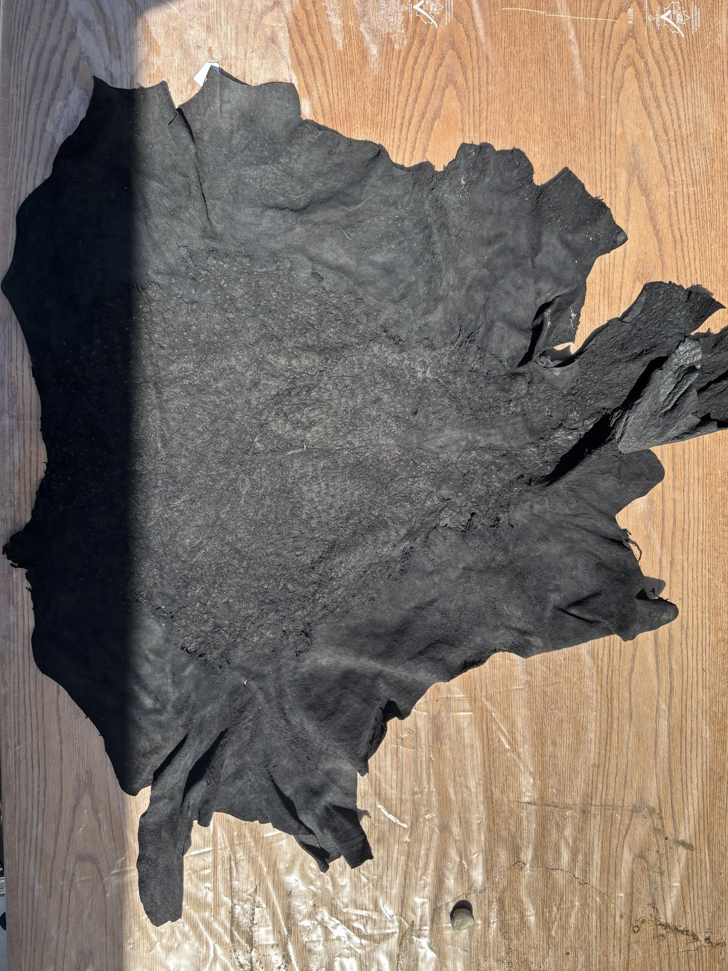 IMG_0310.jpg