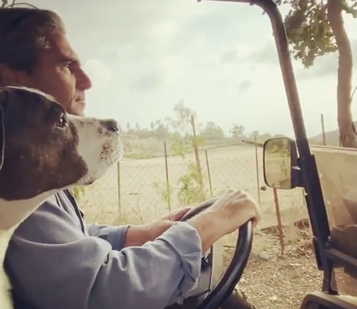 Screen Shot 2019-11-22 at 5.03.08 PM.png