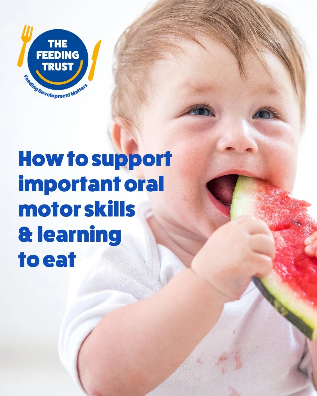 Eating is learning and every bite helps children build vital oral-motor skills.
From exploring textures to developing confidence at mealtimes, these small steps make a big difference.
Swipe to discover simple ways you can support your child’s