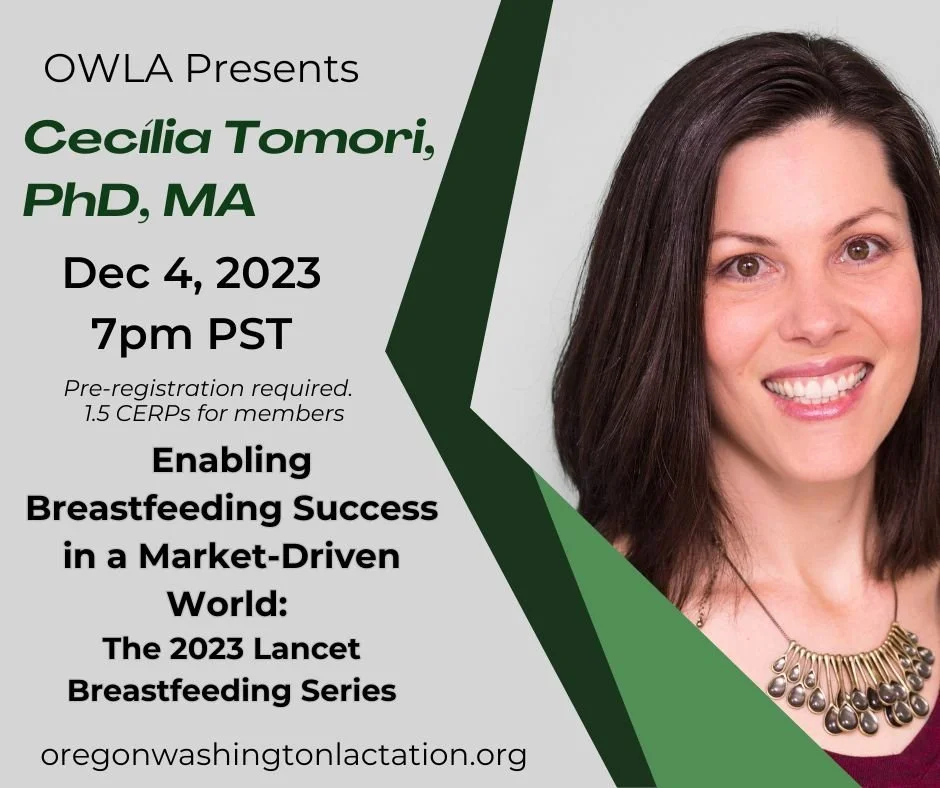 Enabling Breastfeeding Success in a MarketDriven World The 2023