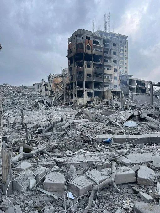 Appeal for New Zealand to call for a ceasefire in Gaza now
