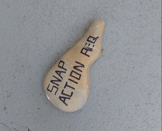 PSNA Newsletter No 225 - 28 January 2026