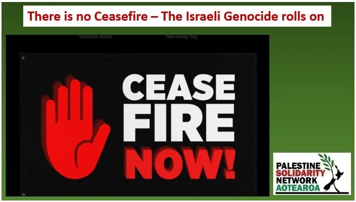 PSNA Newsletter No 226 - 4 February 2026