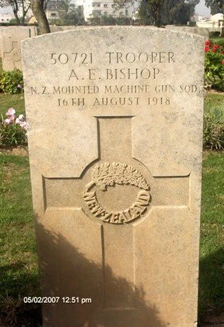 PSNA Newsletter No 238 - 29 April 2026