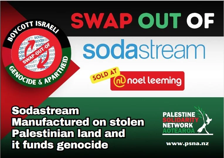 BDS — PSNA