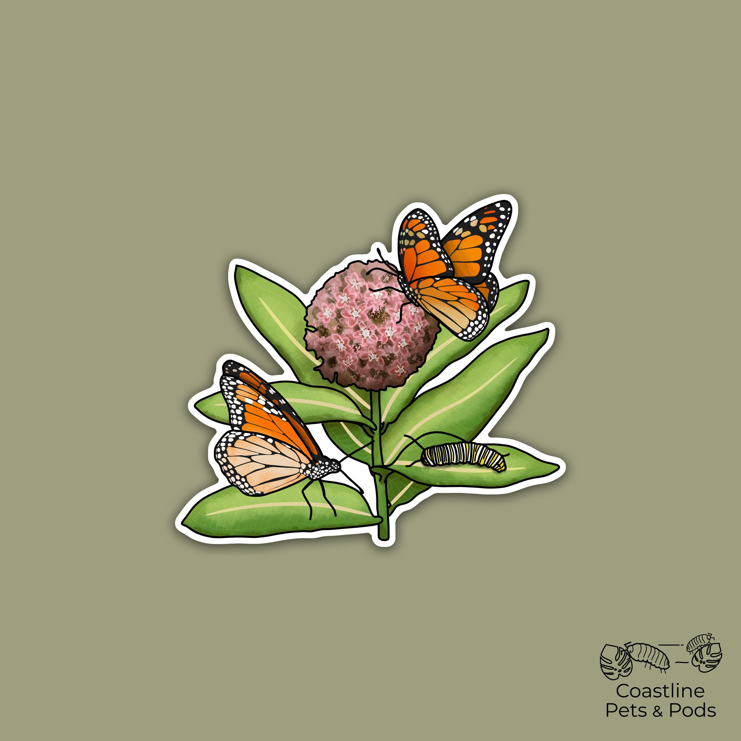 MonarchButterfly1.jpg