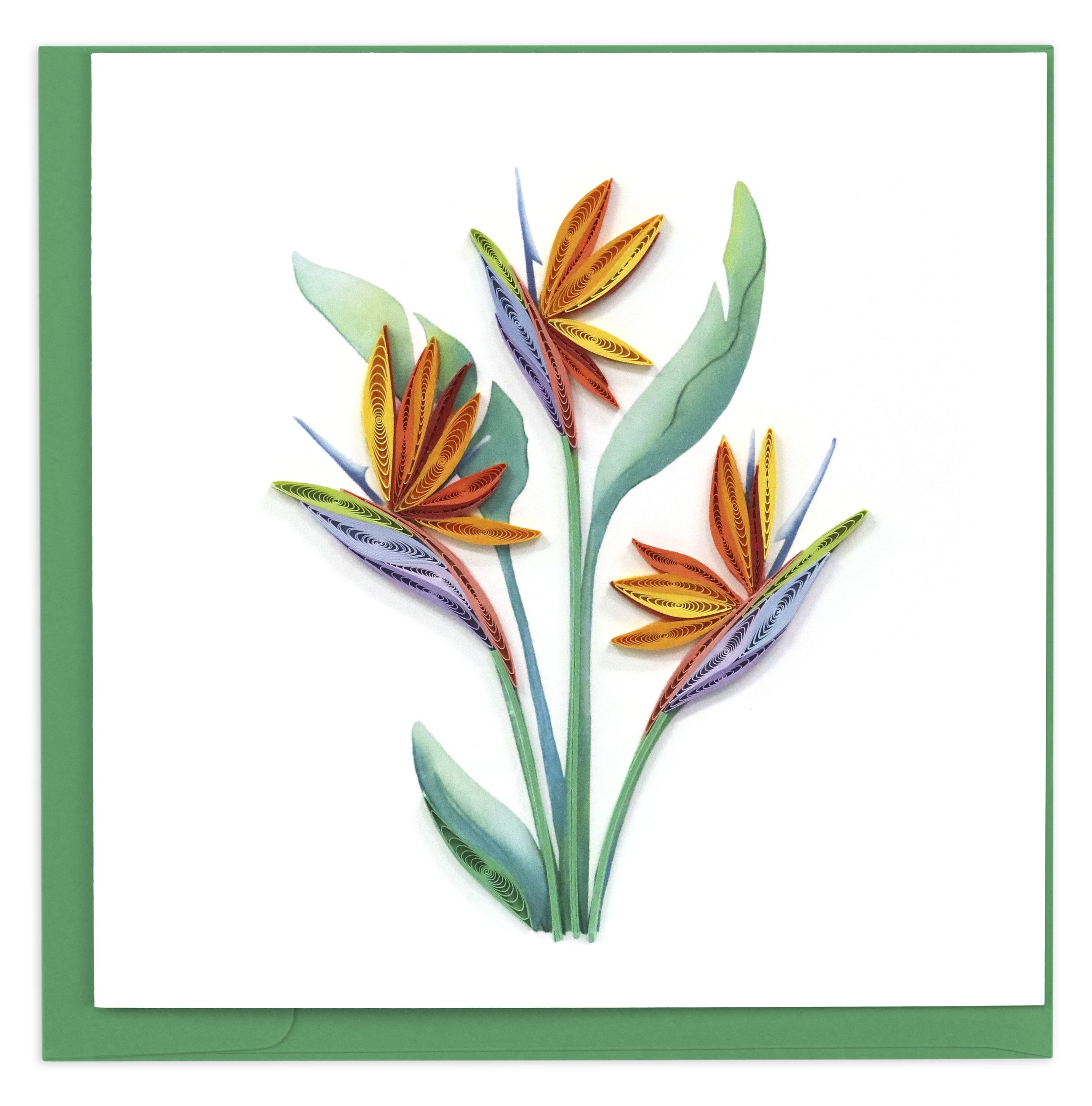 Bird of Paradise.jpg