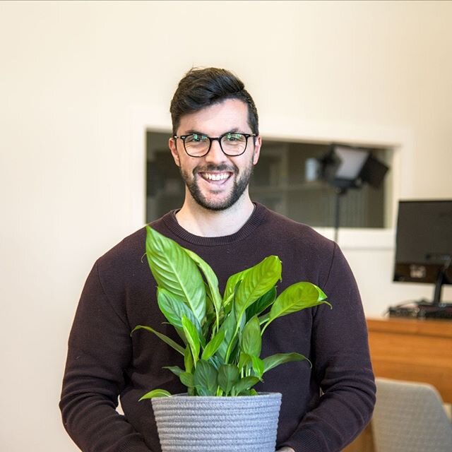 This week we shall appoint a new role, 'Plant Coordinator' 🌿 Who will it be? 🤔
.
.
.
#WeAreEffective #digitalmarketing #marketing #marketingagency #brandstrategy #brandagency #effectivenaturally #plants #justofficethings #officeplants #decorating #