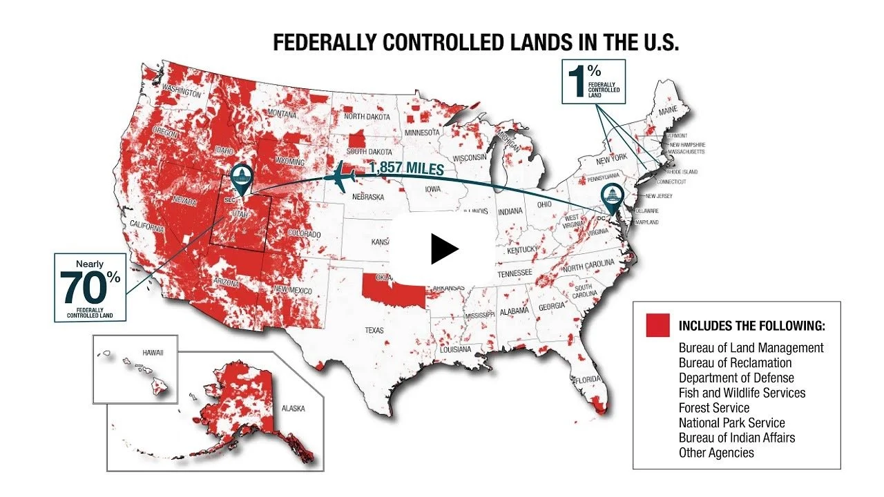 Newsletter (October 2024) 