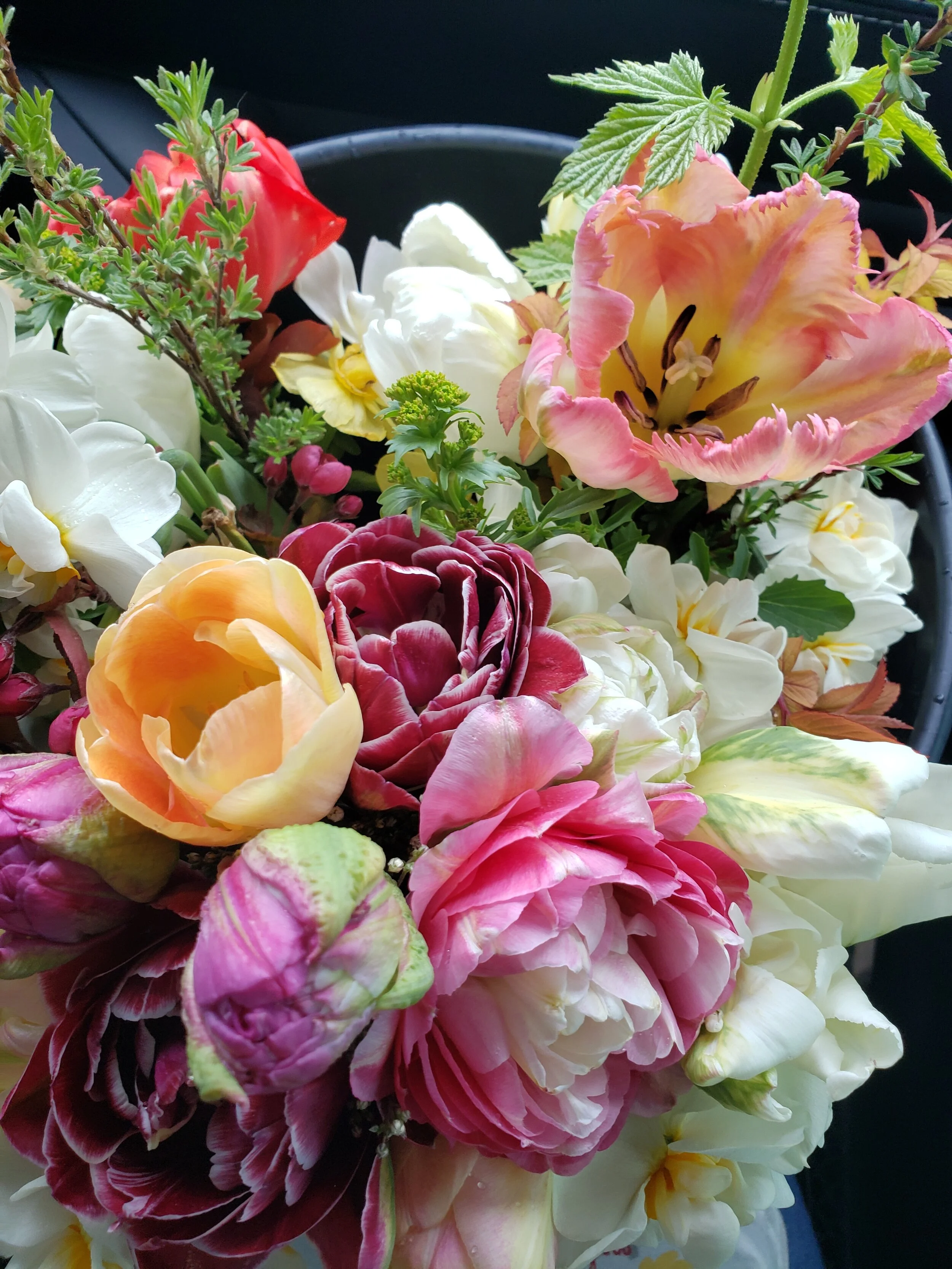 Garden Flower Seeding Class 