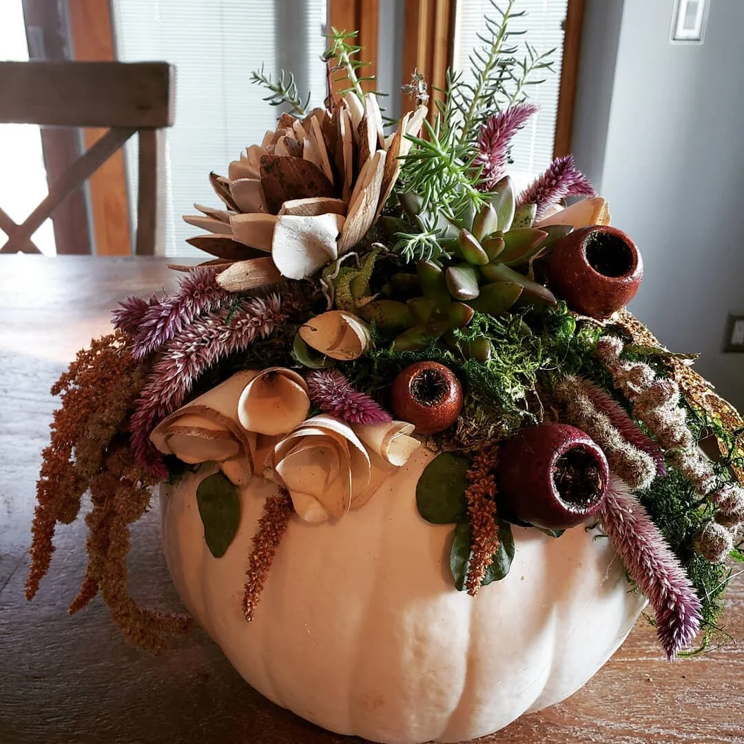 Succulent Pumpkin Class