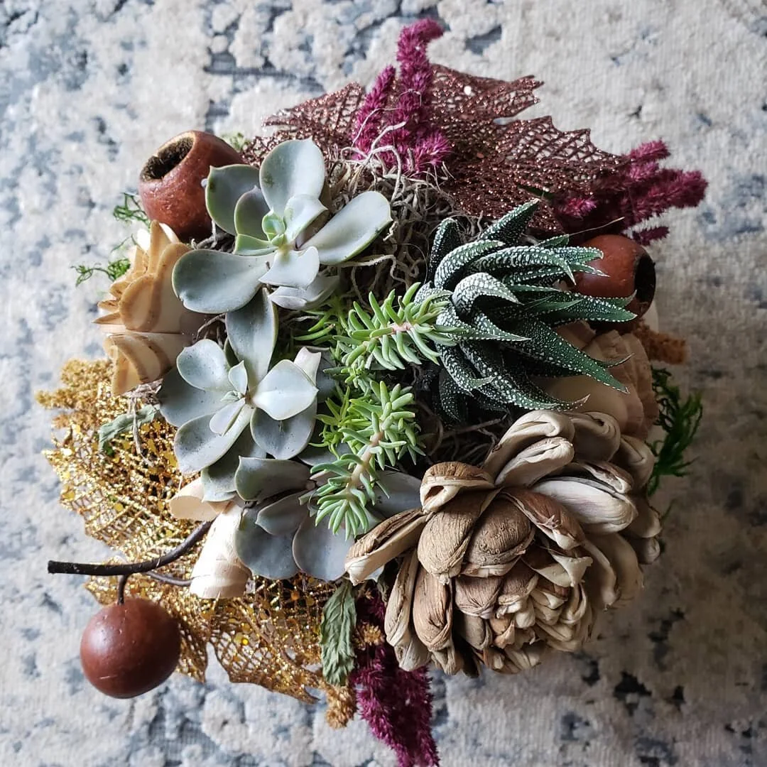 Succulent Pumpkin Class