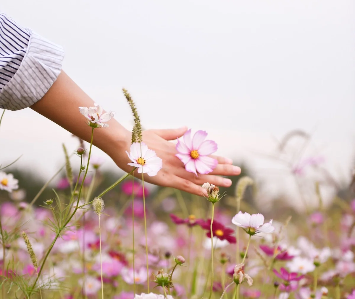 
Dear 2019: I Have So Much to Give to This World  